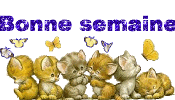 Bonne semaine à tous !!